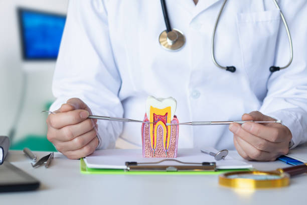 Best Broken Tooth Emergency  in Wymore, NE